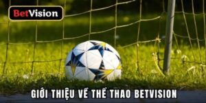 Hướng dẫn anh em tham gia chơi cá cược thể thao Betvision