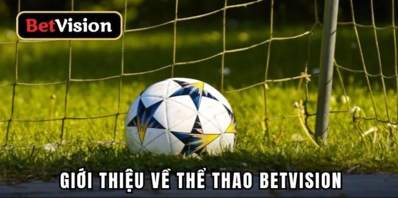 Hướng dẫn anh em tham gia chơi cá cược thể thao Betvision