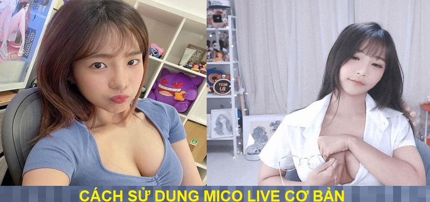 Cách sử dụng app livestream Mico Live cơ bản