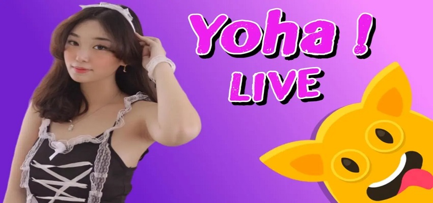 Yoha Live là một trong những ứng dụng livestream được nhiều người sử dụng