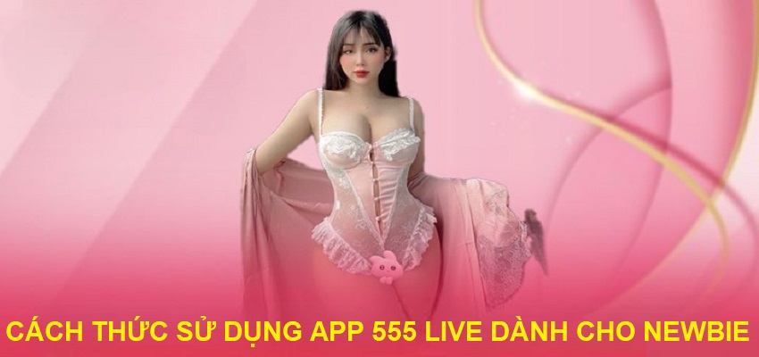Hướng dẫn nhanh giúp người mới làm quen với 555 Live